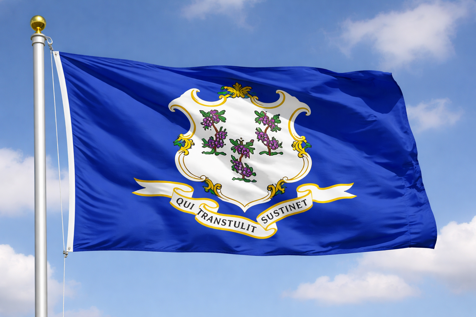 Y It Matters: Why Process Protects People